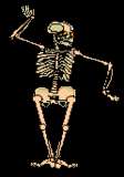 Animated Musician & Dancing Skeleton W Music Very Cool  