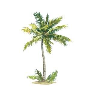 Wallies Palm Tree 43 by 65 Inch Wallpaper Mural