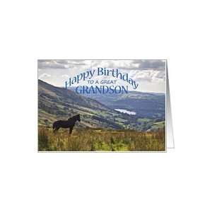  Birthday for Grandson, a horse and a landscape Card Toys & Games