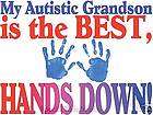 Adult T shirt Autism Awareness *Autistic* Hands Down