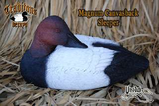 Traditions Canvasback Duck Decoys   Canvas back decoys  