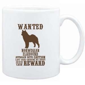   Elkhound   $1000 Cash Reward  Dogs 