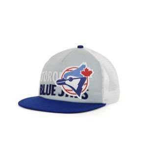 Toronto Blue Jays American Needle MLB Soul Cap  Sports 