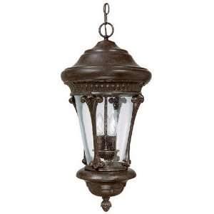  Capital Lighting Outdoor 9736 Outdoor Hanging Lantern 