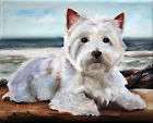 MSSMITH Westie west highland terrier PRINT dog portrait