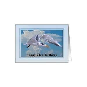  Happy Birthday, 93rd, Royal Tern Bird Card Toys & Games