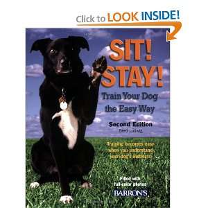 Sit Stay Train Your Dog the Easy Way Training Becomes Easy When You 