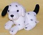 dalmatian puppies for sale  