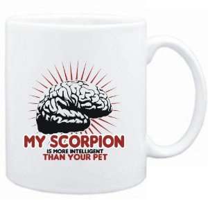   Scorpion is more intelligent than your pet  Animals Sports