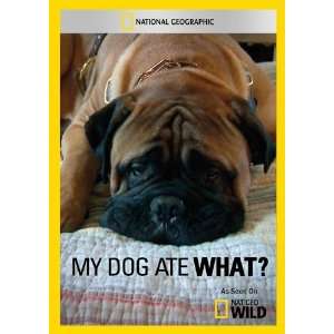  My Dog Ate What? Movies & TV