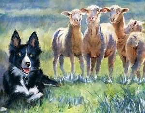 Original Border Collie Sheepdog Sheep Painting Art Dog  