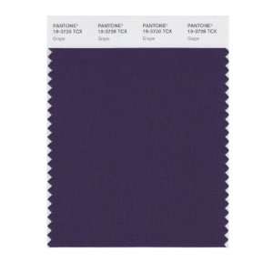  PANTONE SMART 19 3728X Color Swatch Card, Grape