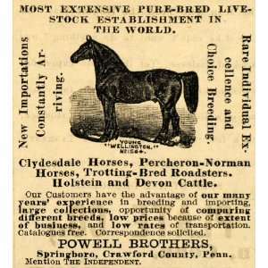   Ad Powell Brothers Horses Clydesdale Wellington   Original Print Ad