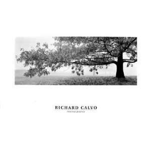  Richard Calvo   Autumn Oak