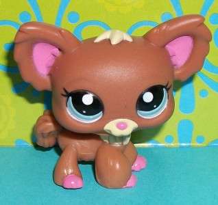 Littlest Pet Shop~#1623 CHOCOLATE & PINK CHIHUAHUA PUPPY DOG~G197 LPS 