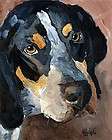 bluetick coonhound  