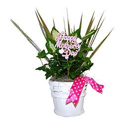 White Country Ties Tropical Planter  