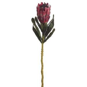  Faux 26 Queen Protea Spray Burgundy (Pack of 12) Patio 