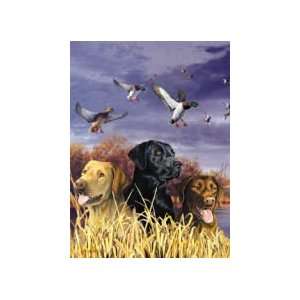  Labs in the Marsh   1000 Pieces Jigsaw Puzzle Toys 