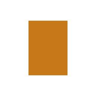  Dimensions Oversized Color Sample   Tiger Orange