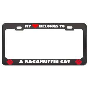 My Heart Belongs To A Ragamuffin Cat Animals Pets Metal License Plate 