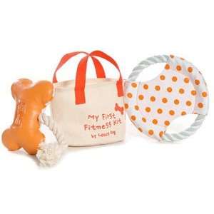 Puppy Play Kit & Cookie Blanket Gift Set  Blanket Color MANGO 