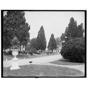  View in National Cemetery,Arlington,Va.