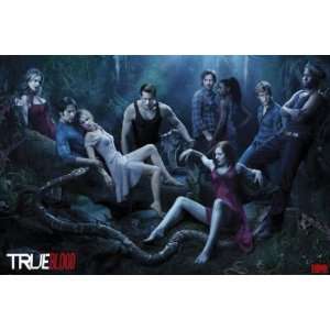   TV Show Poster (Season 3 / The Cast) (Size 36 x 24)