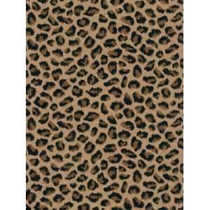  Wallpaper Steves Color Collection   Brown BC1584027