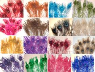 50 Peacock Eye Feathers Dyed 10 15 16 colors available  