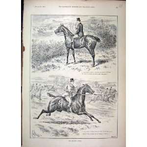    1895 Hunting Man Horses Gallop Hedge Country Scene