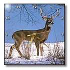3dRose LLC Wild animals   White Tailed Deer   Wall Clocks