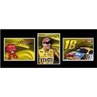 Racing Reflections TSF KYB10 Kyle Busch triple shot frame photo. These 