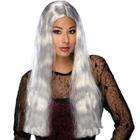 Rubies Costume Co LONG GREY Witch Costume Wig