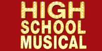 Disney High School Musical Troy Bolton Boys Costume NEW  