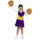 Aeromax Little Girls Purple Cheerleader Halloween Costume Outfit 4/6