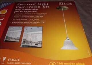 Recessed 1 Pendant Light Conversion Kit White Glass Shade Brushed 