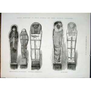   Royal Mummies Egyptian Relics Egypt King Queen Priest