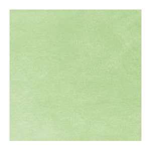  Minky Smooth Fabric   Celery Arts, Crafts & Sewing