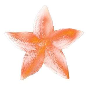  Decorative Starfish Toys & Games