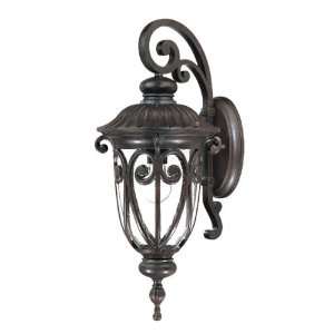  Acclaim Lighting Naples Outdoor Sconce