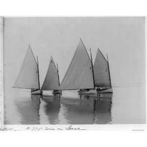  Catchboats in drifting match,sailing,competition,c1899 