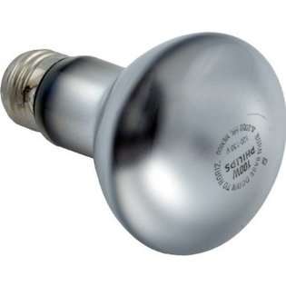   SPX0551Z4 120 Volt R 20 Bulb Replacement for Hayward Underwater Lights