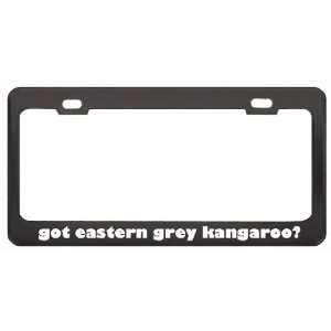 Got Eastern Grey Kangaroo? Animals Pets Black Metal License Plate 