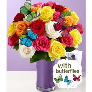 Two Dozen Long Stemmed Butterfly Roses  Grocery & Gourmet 