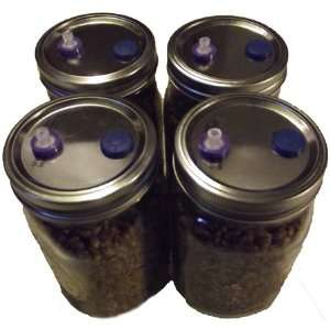  Pack of (6) PF Jars 8oz 1/2 Pint   Widemouth Substrate 