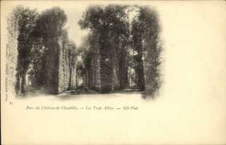 Parc du Chateau de Chantilly France c1910 Postcard  