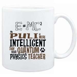   than your Quantum Physics Teacher  Dogs