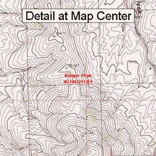  USGS Topographic Quadrangle Map   Badger Peak, Idaho 