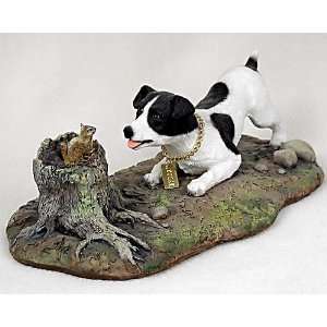  Jack Russell Terrier Black & White w/Smooth Coat My Dog 